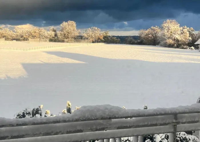 Seeblick Bodensee 6 Free Parking Free Internet